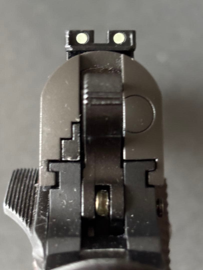 東京マルイ　スネークマッチ風カスタム(マガジン付)