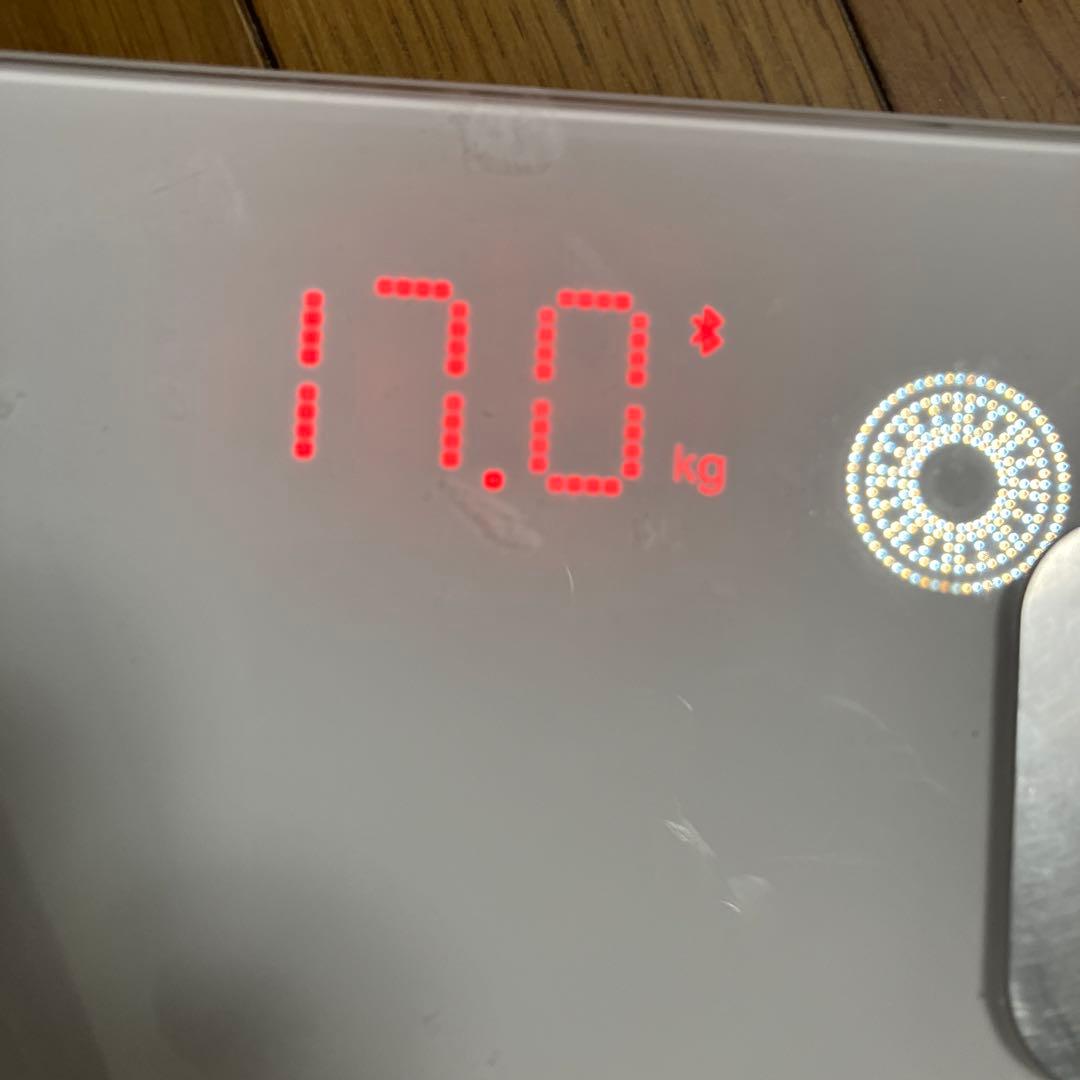 ハヤトウリ17キロ