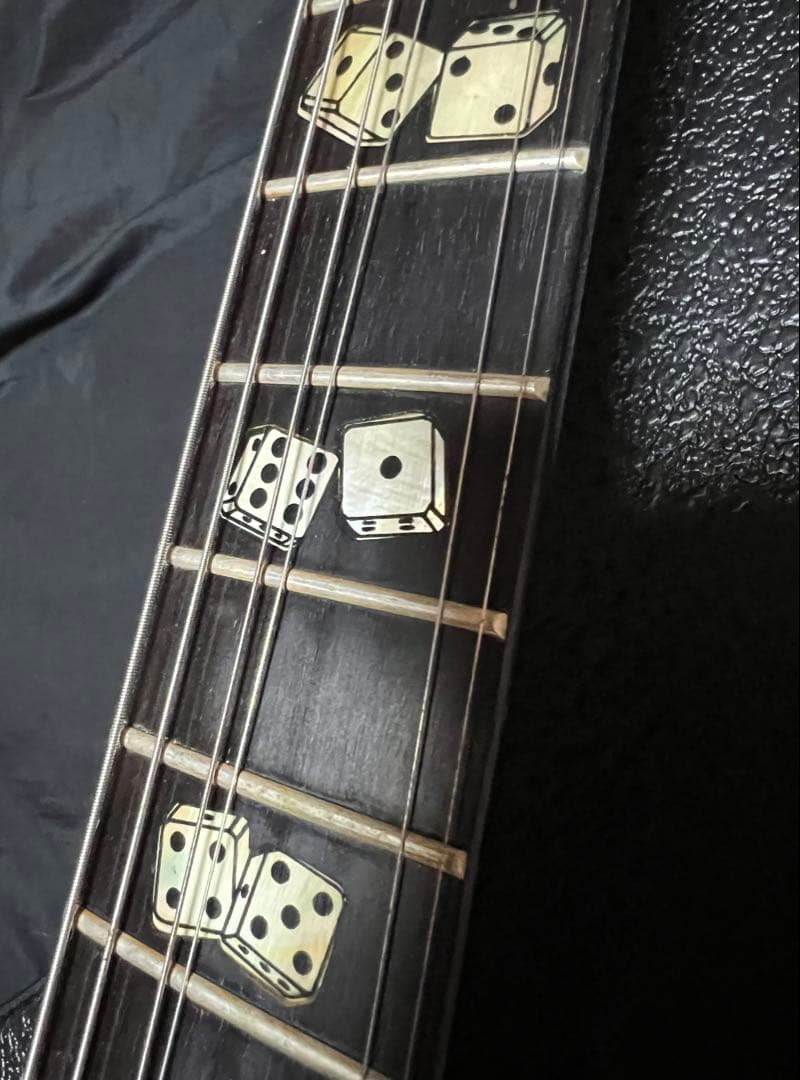 【Epiphone】Flamekat Ebony・Flame Graphic