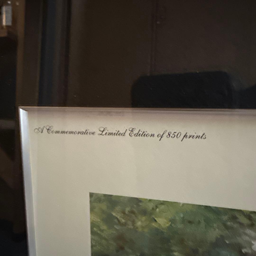 F1 限定シリアルナンバー316/850 直筆サイン入り