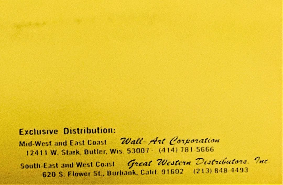 有名デザイン 70’s はげわし コレクティブル ブラックライト ポスター