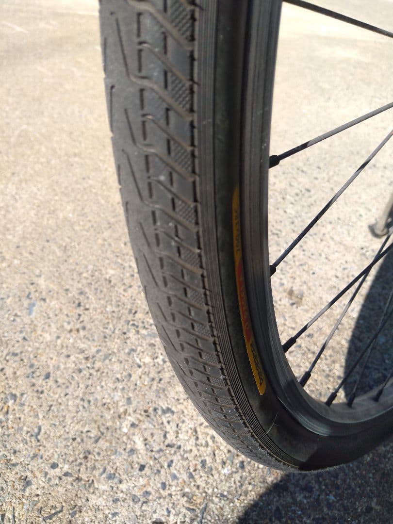 LOUIS GARNEAU ルイガノ　引取希望