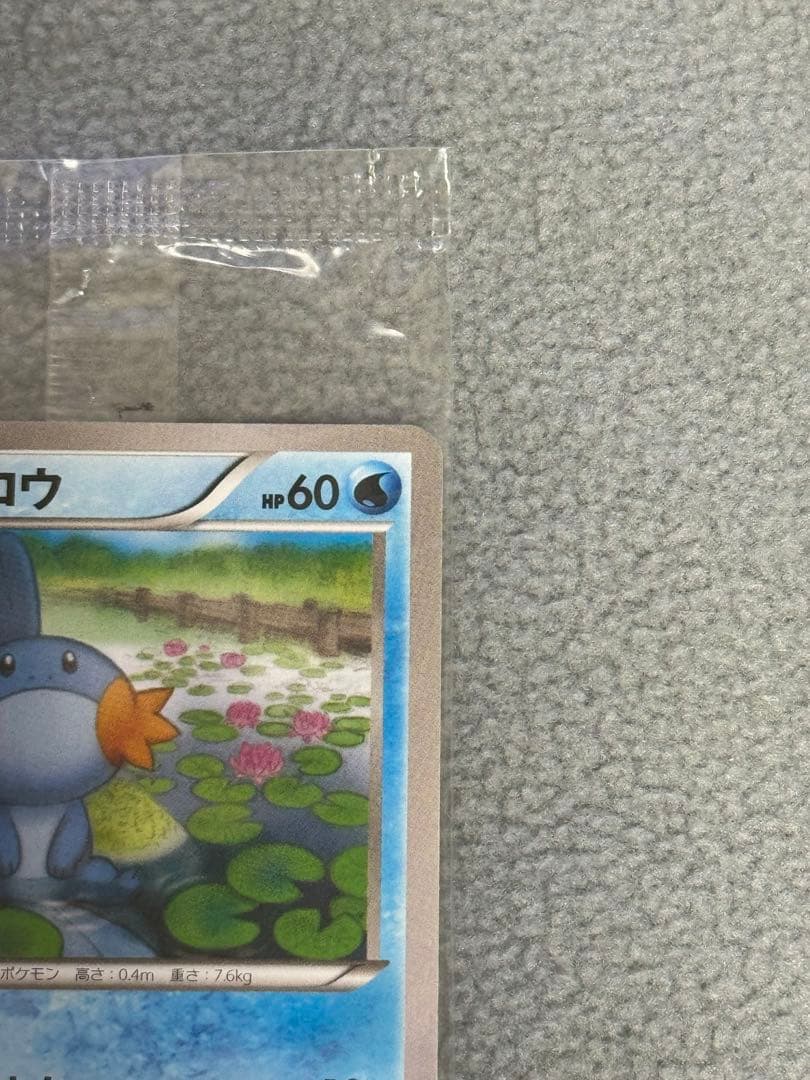 【未開封】ポケモンカード　ミズゴロウ　プロモ 109/XY-P