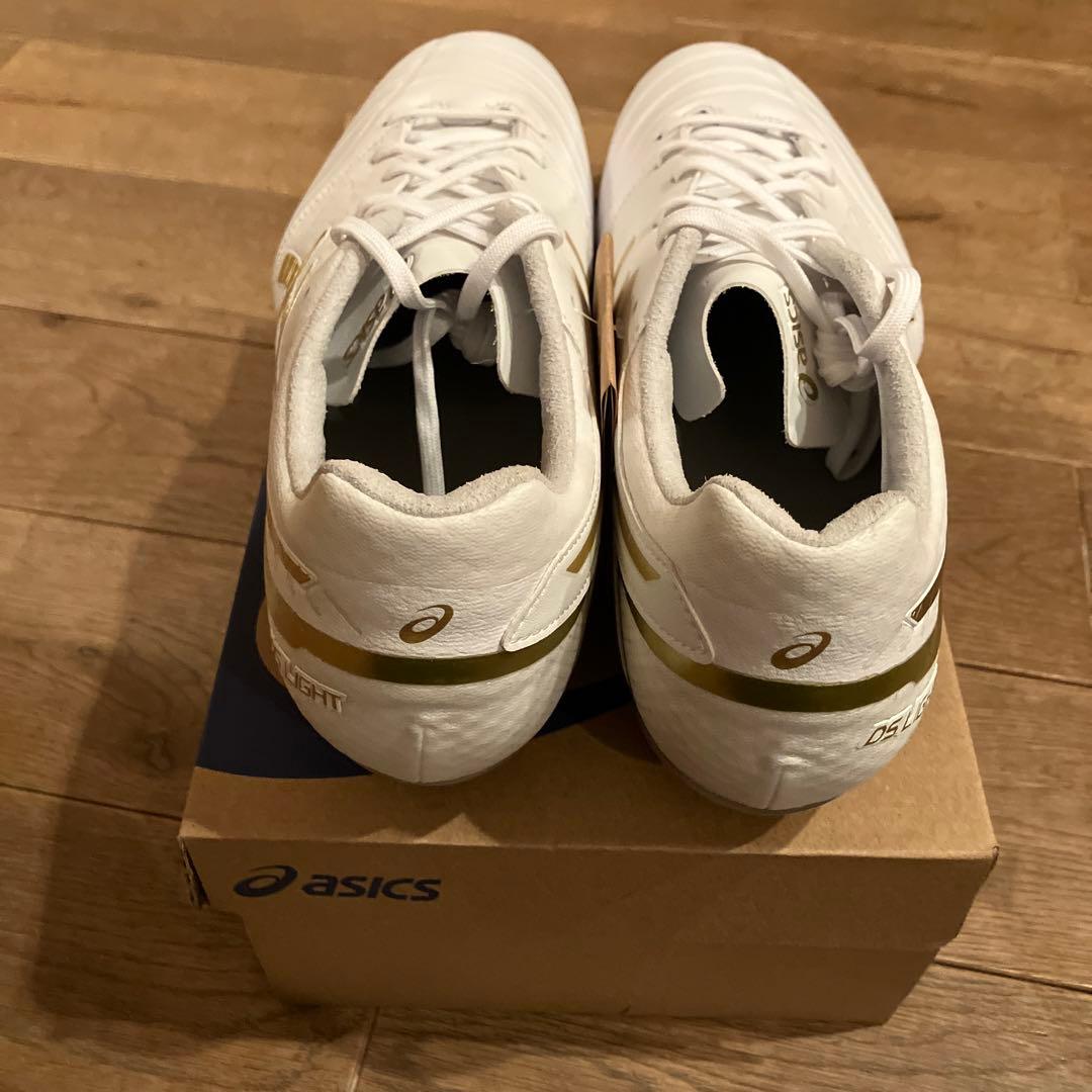 【未使用品】DS LIGHT