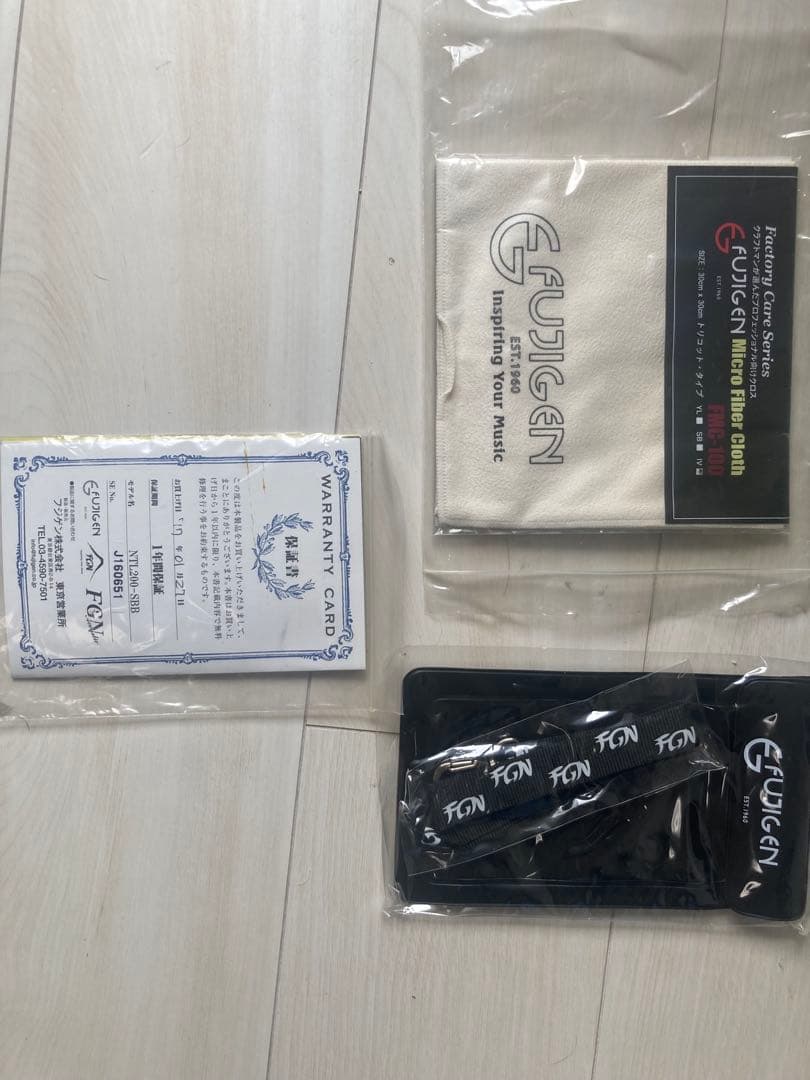 Fujigen neo classical NTE200テレキャスター