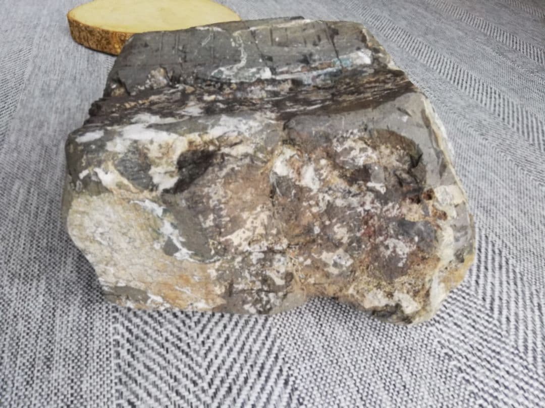 大菊　菊花石　11㎏