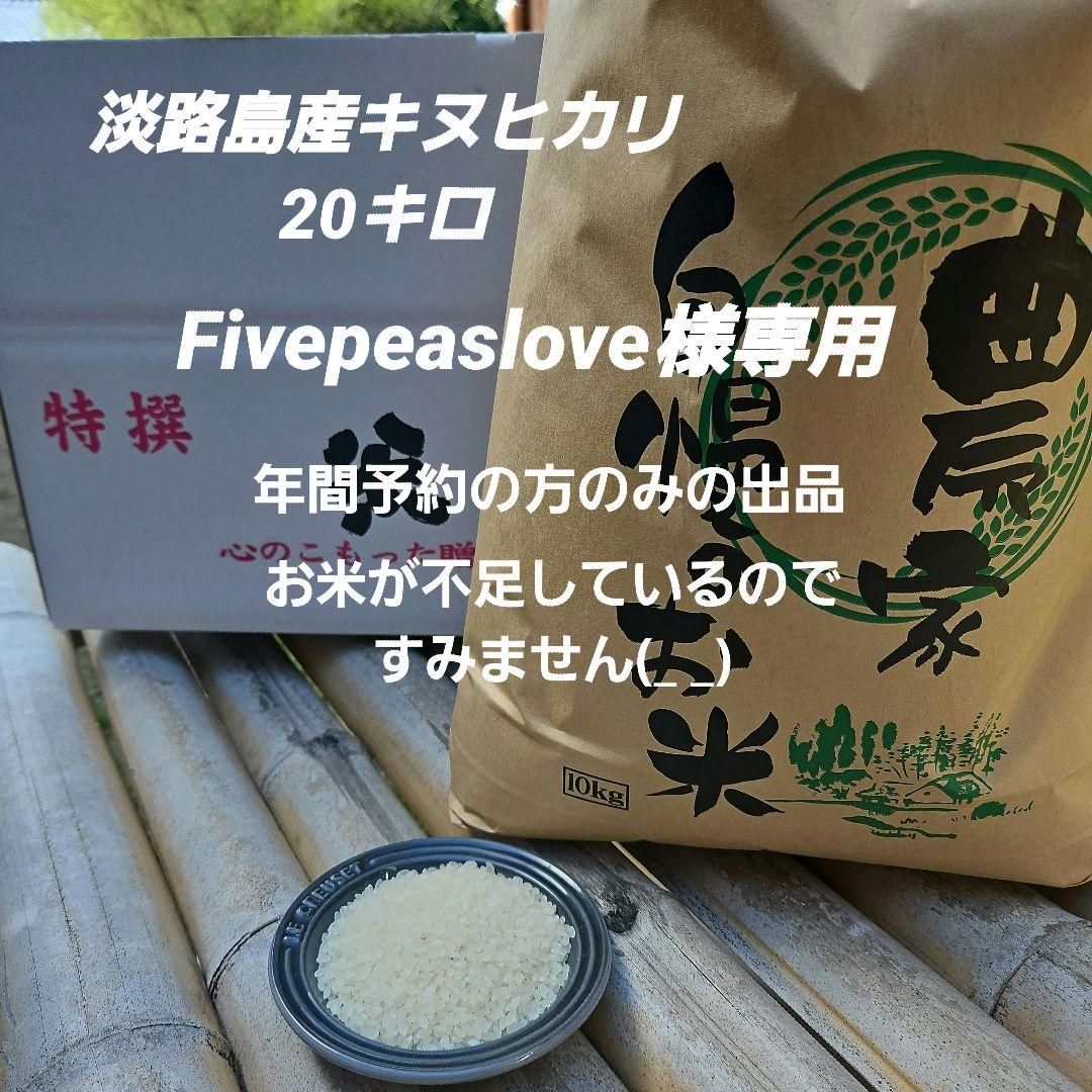 淡路島産キヌヒカリ20キロ