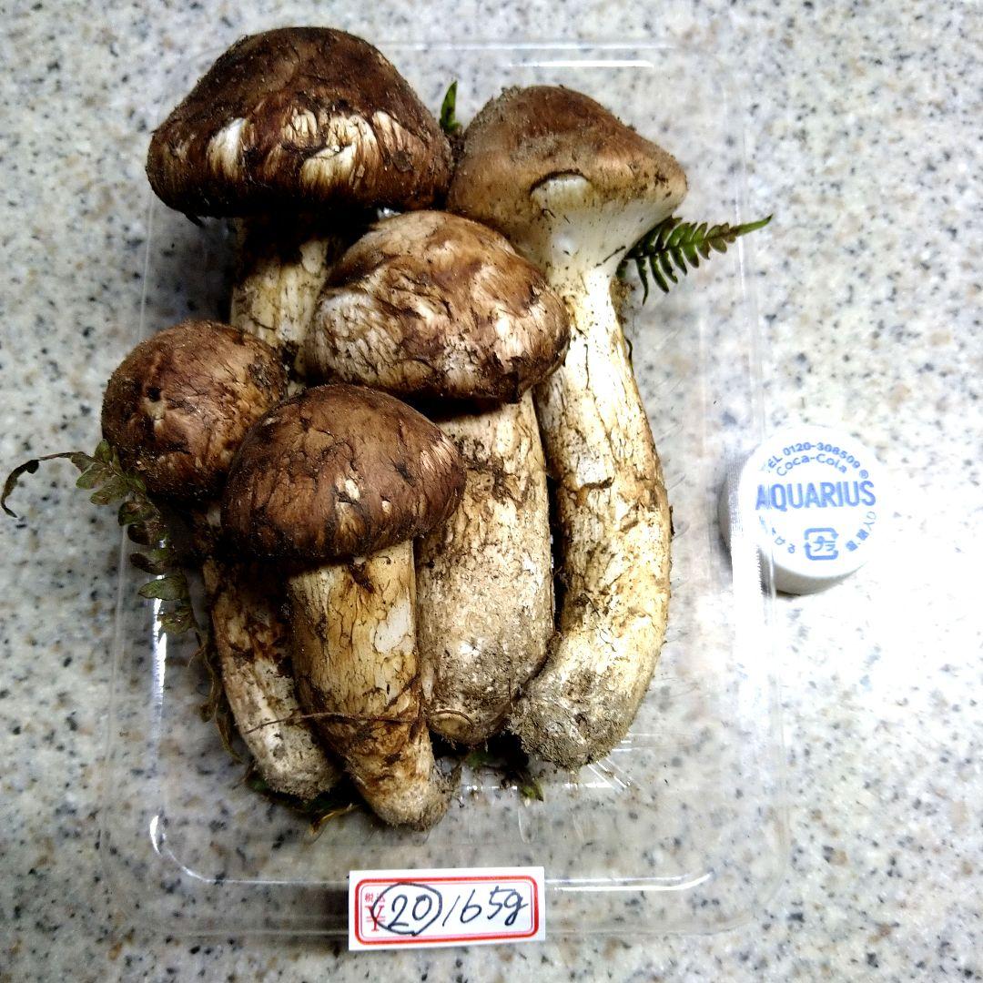 南信州産松茸約165g（パック込み）