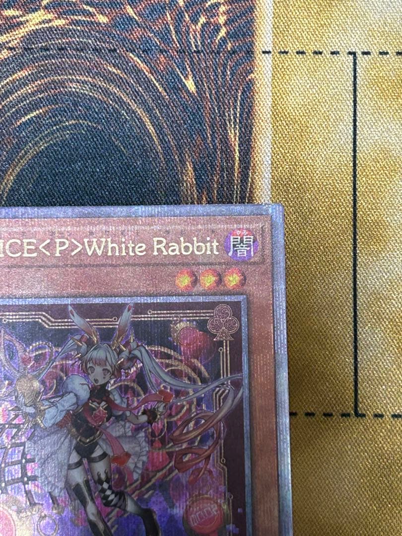 【5つ目】遊戯王 M∀LICE＜P＞White Rabbit ホワイトラビット