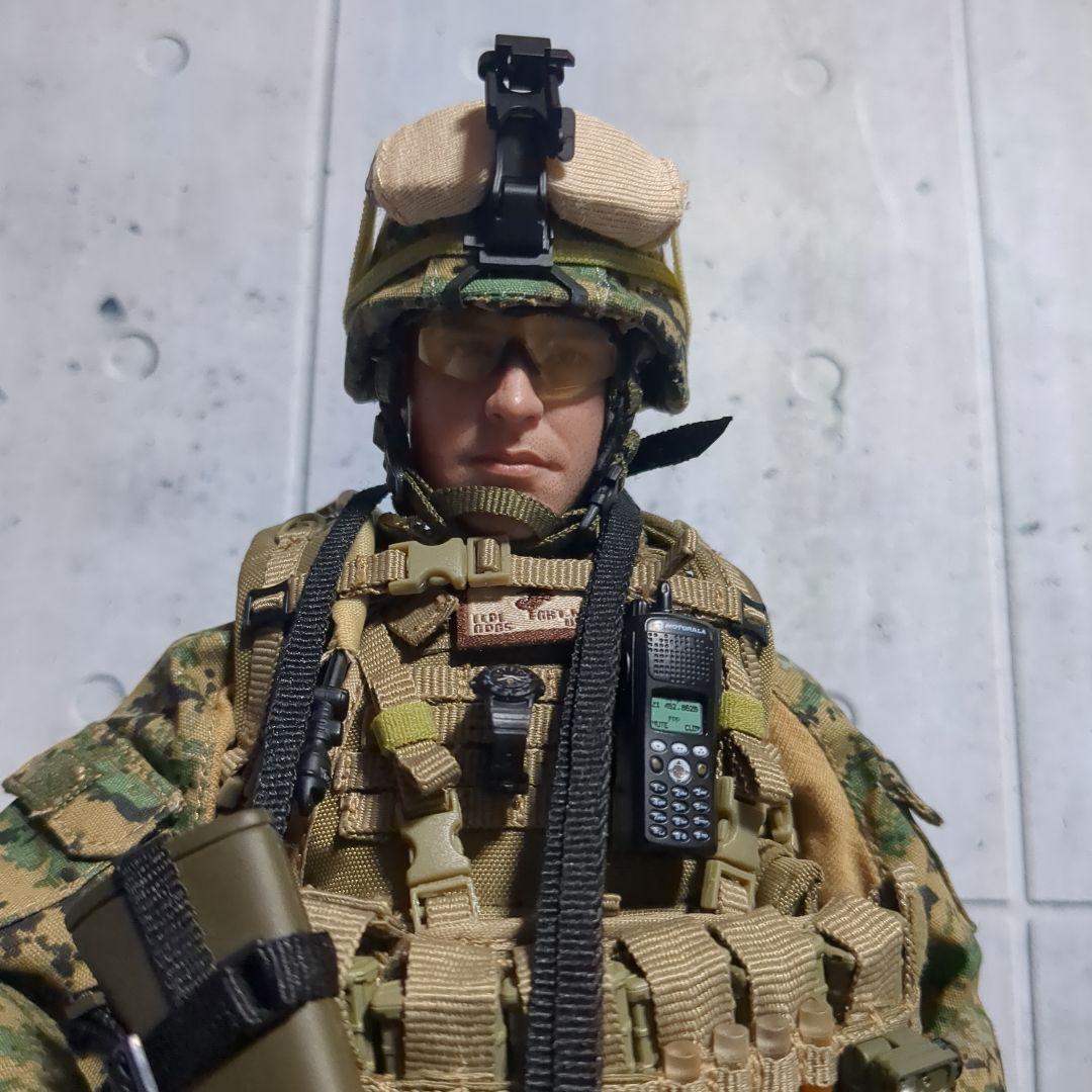 1/6 米海兵隊 第2海兵遠征旅団 アフガニスタン カスタム CS60