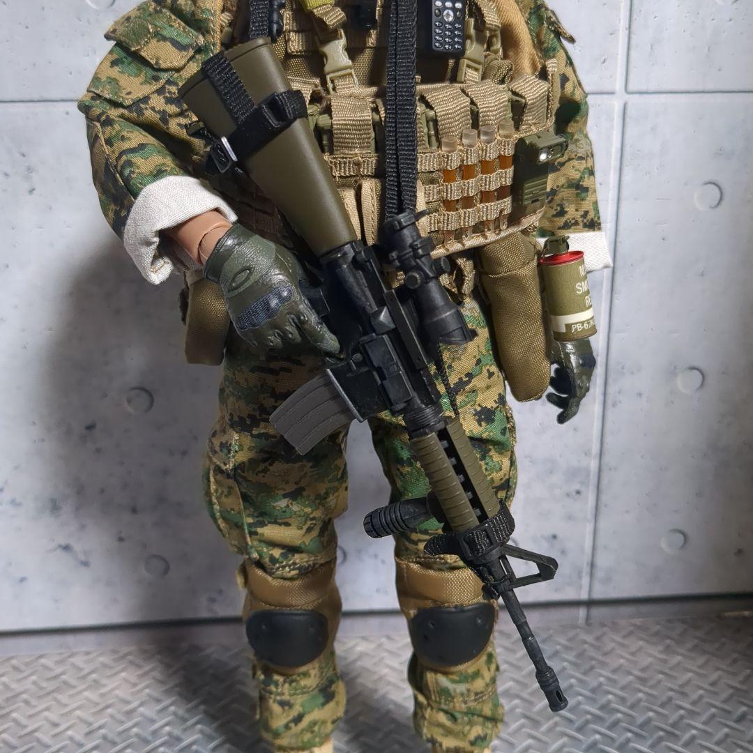 1/6 米海兵隊 第2海兵遠征旅団 アフガニスタン カスタム CS60