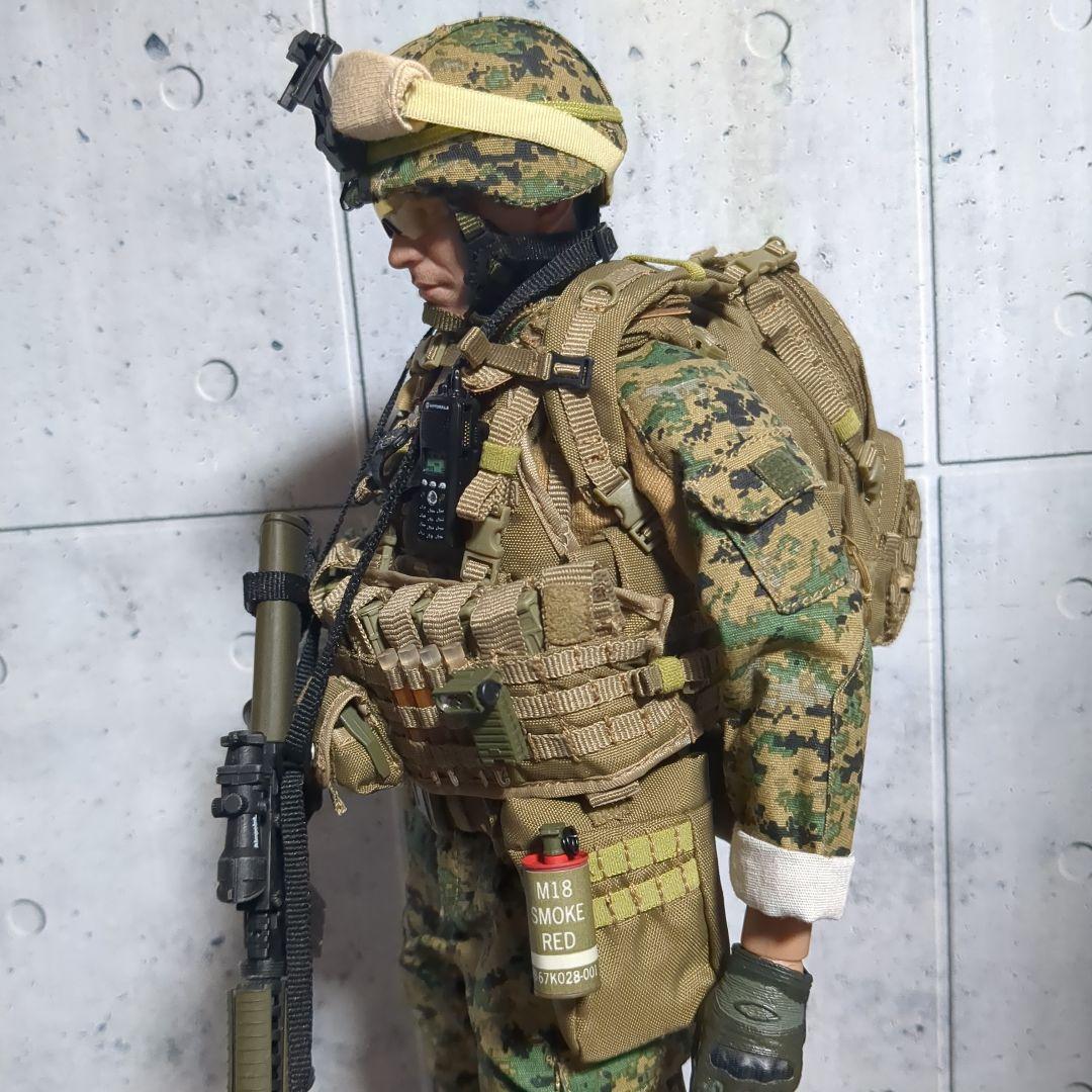 1/6 米海兵隊 第2海兵遠征旅団 アフガニスタン カスタム CS60