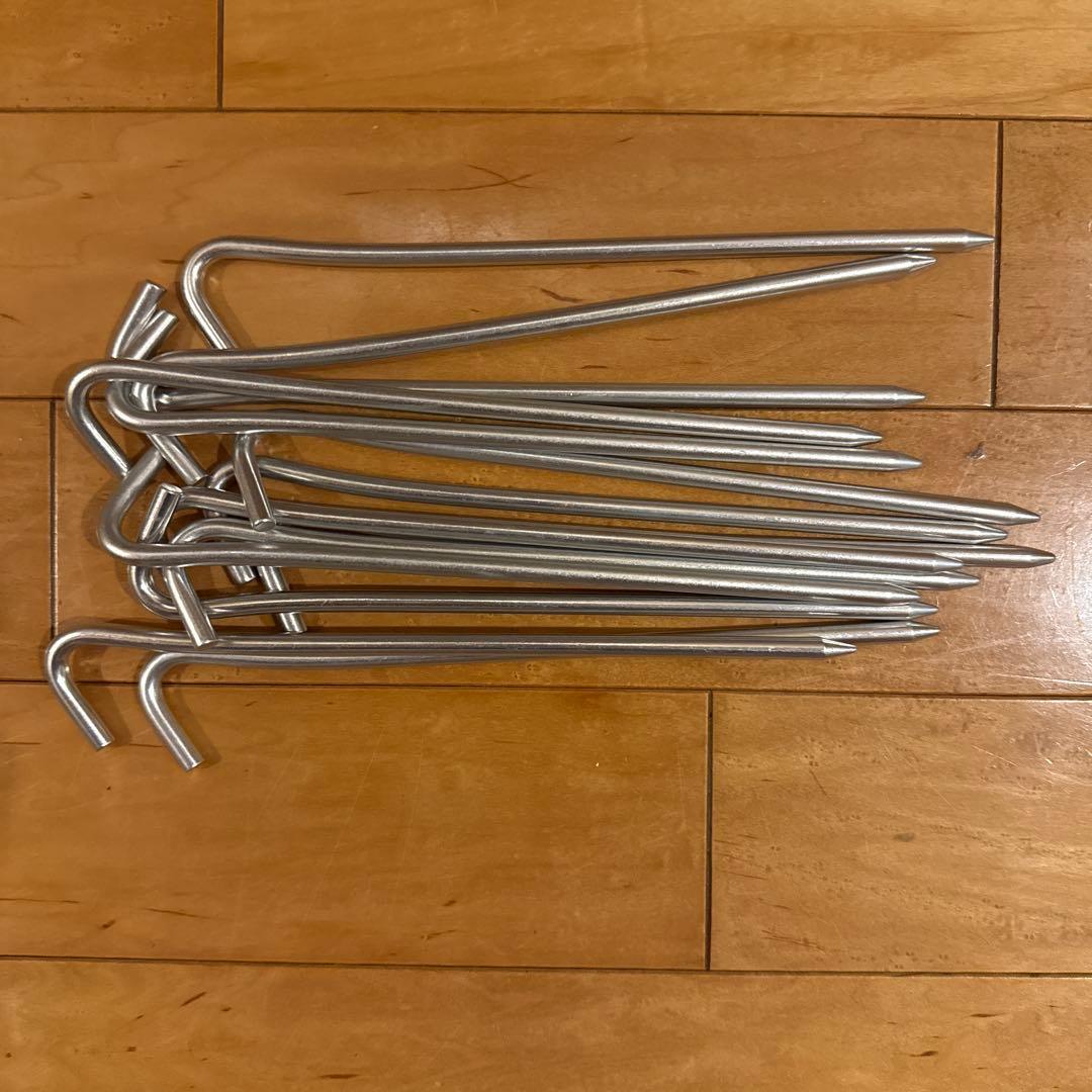 SABBATICAL サバティカル モーニンググローリー TC