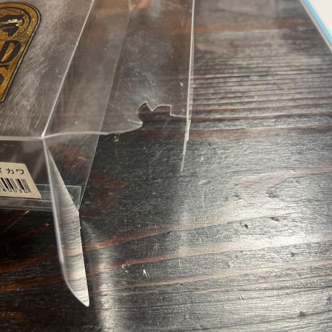 【未使用】本日限値引中WILD BEAT ビッグベイト ルアー