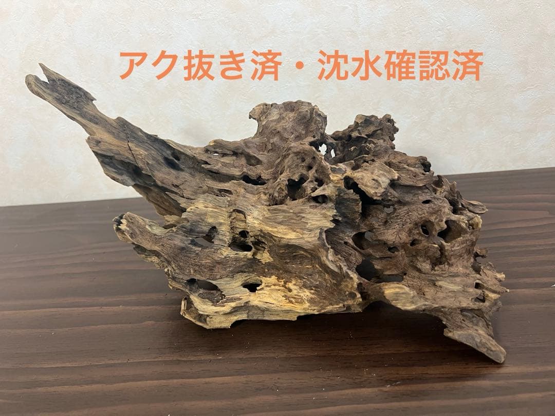 XM-307 流木　マシンガンウッド ブランチウッド　アクアリウム