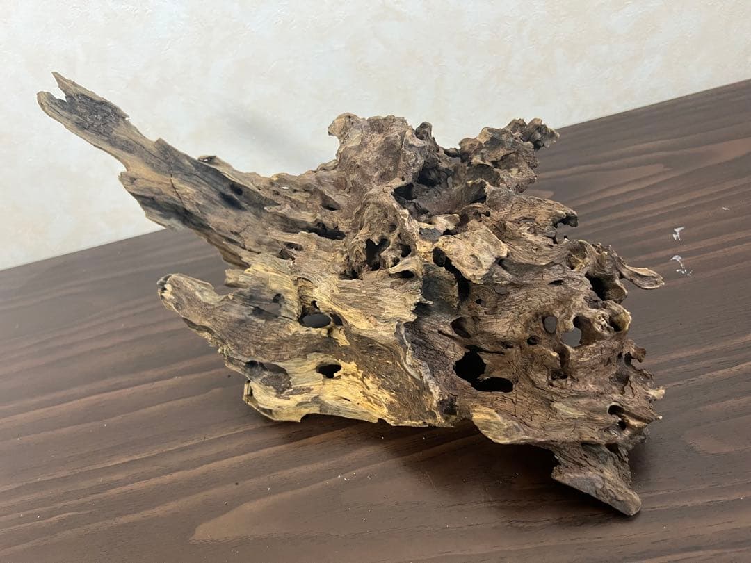 XM-307 流木　マシンガンウッド ブランチウッド　アクアリウム