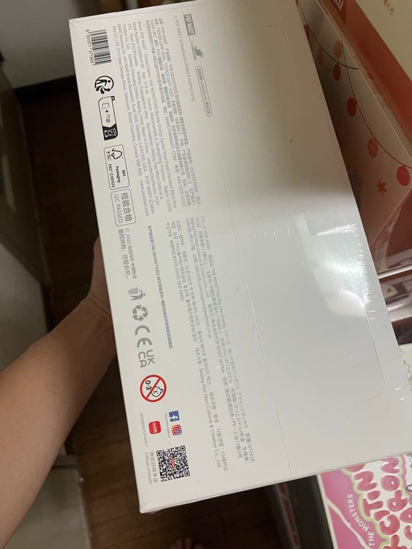 ラブブ Big into Energy ぬいぐるみペンダント アソート10box