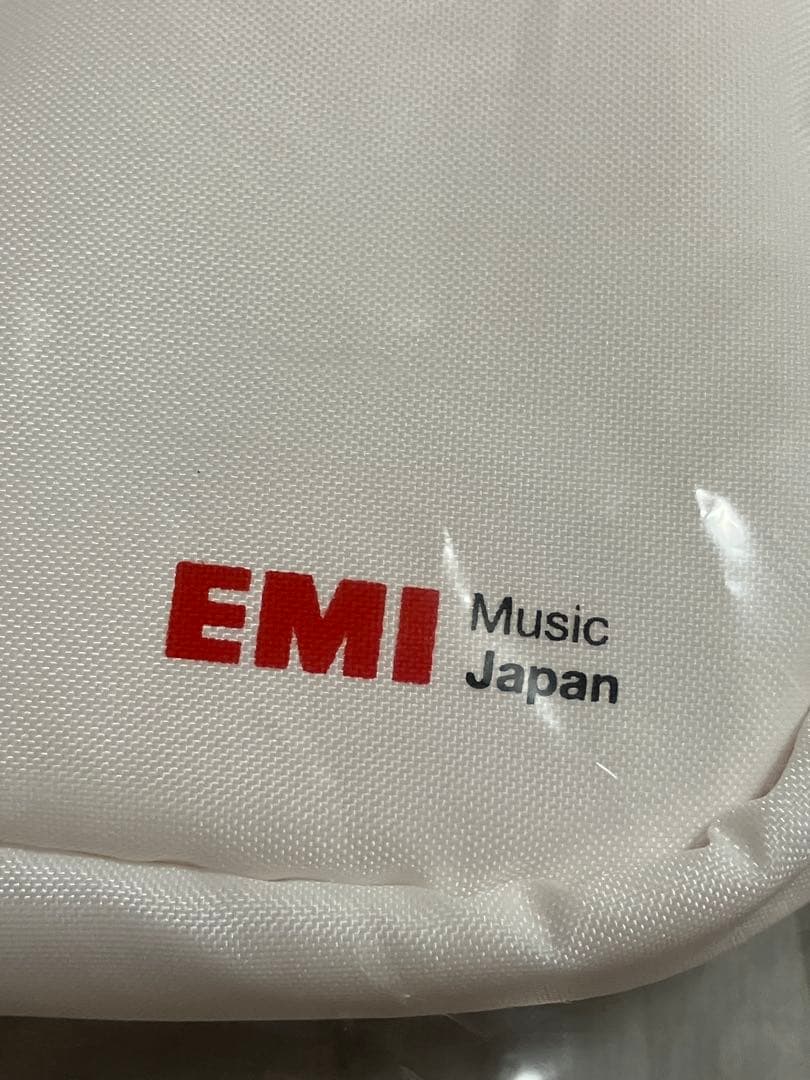 宇多田ヒカル　ノートPCケース ソフトケース　非売品？　抽選当選品　東芝EMI