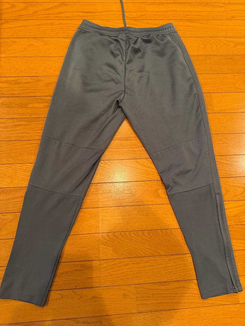 アルビレックス新潟公式練習着　ジャージ上下