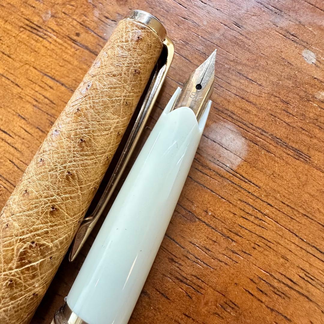 sailor セーラー　万年筆　オーストリッチ　茶　ペン先　18k ①