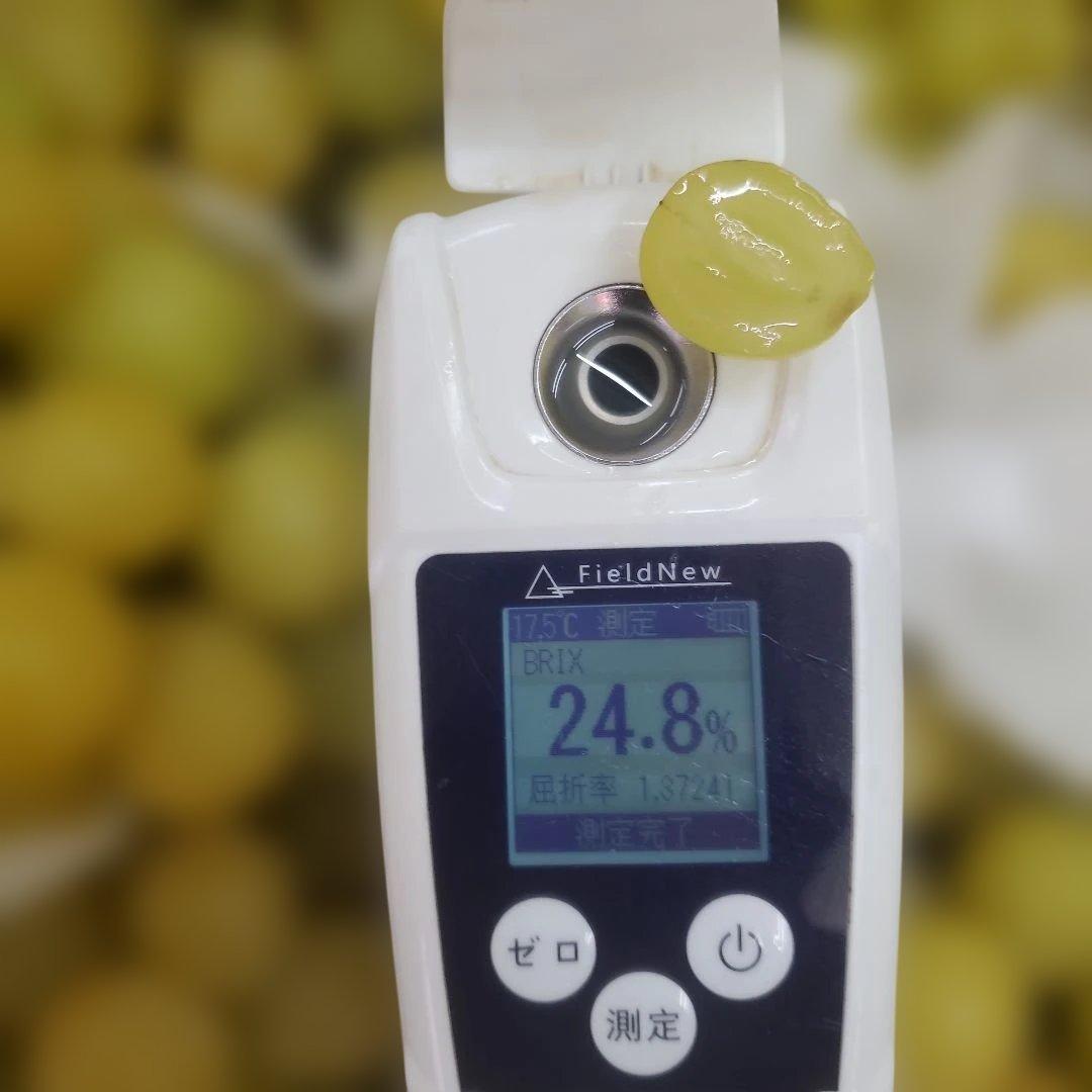 8️⃣ 山梨県産 シャインマスカット １１房入り 箱込み5.7キロ