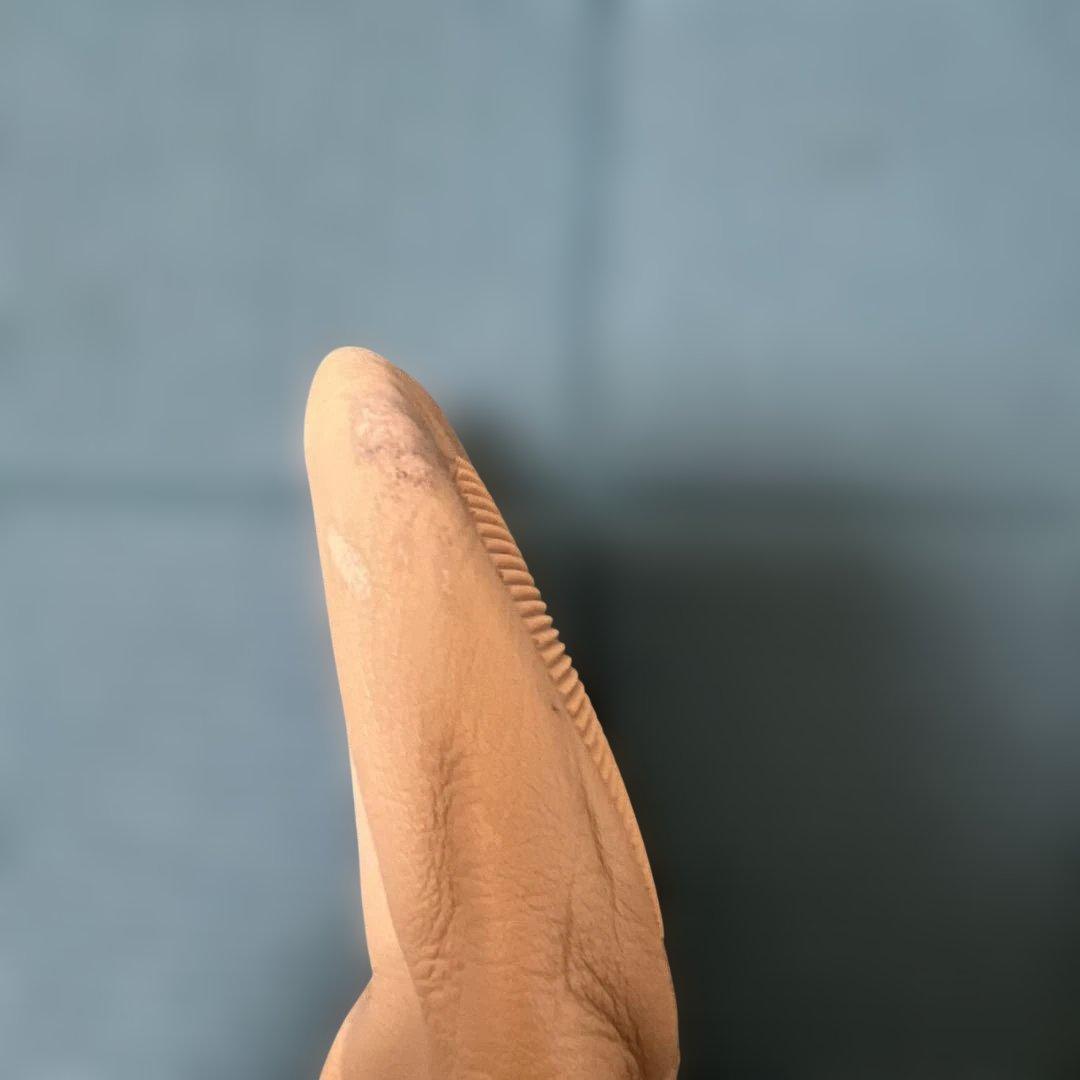 チャコット　ストレッチジャズシューズ　ベージュ　24cm