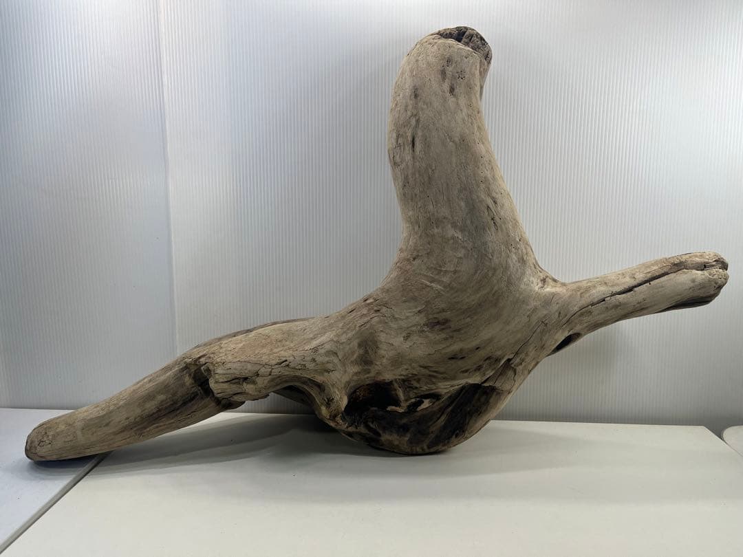 W29特大流木 アク抜き済み流木 爬虫類シェルター 登り木 インテリア 生け花