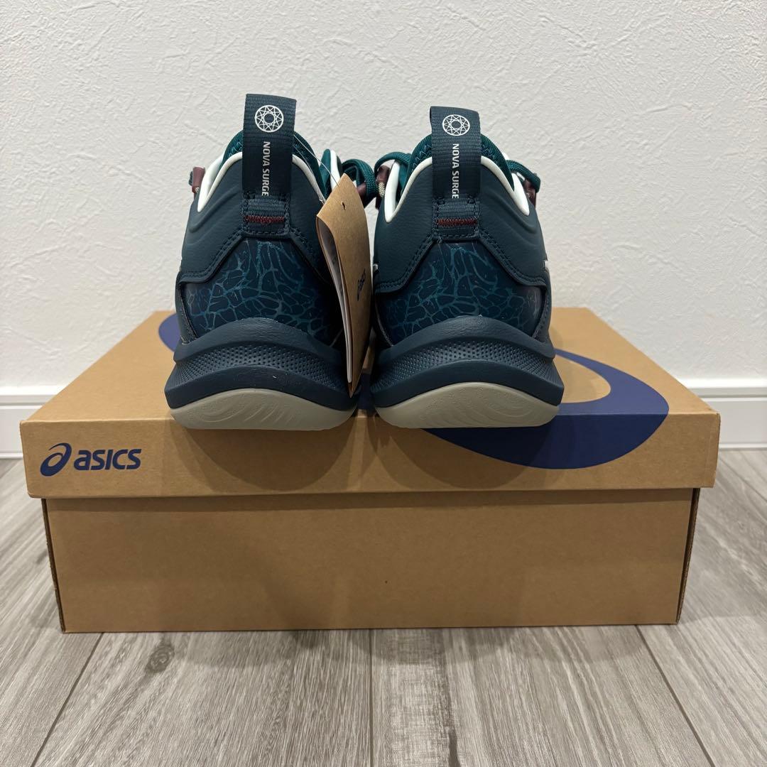 シューズ(男性用) NOVA SURGE LOW 2