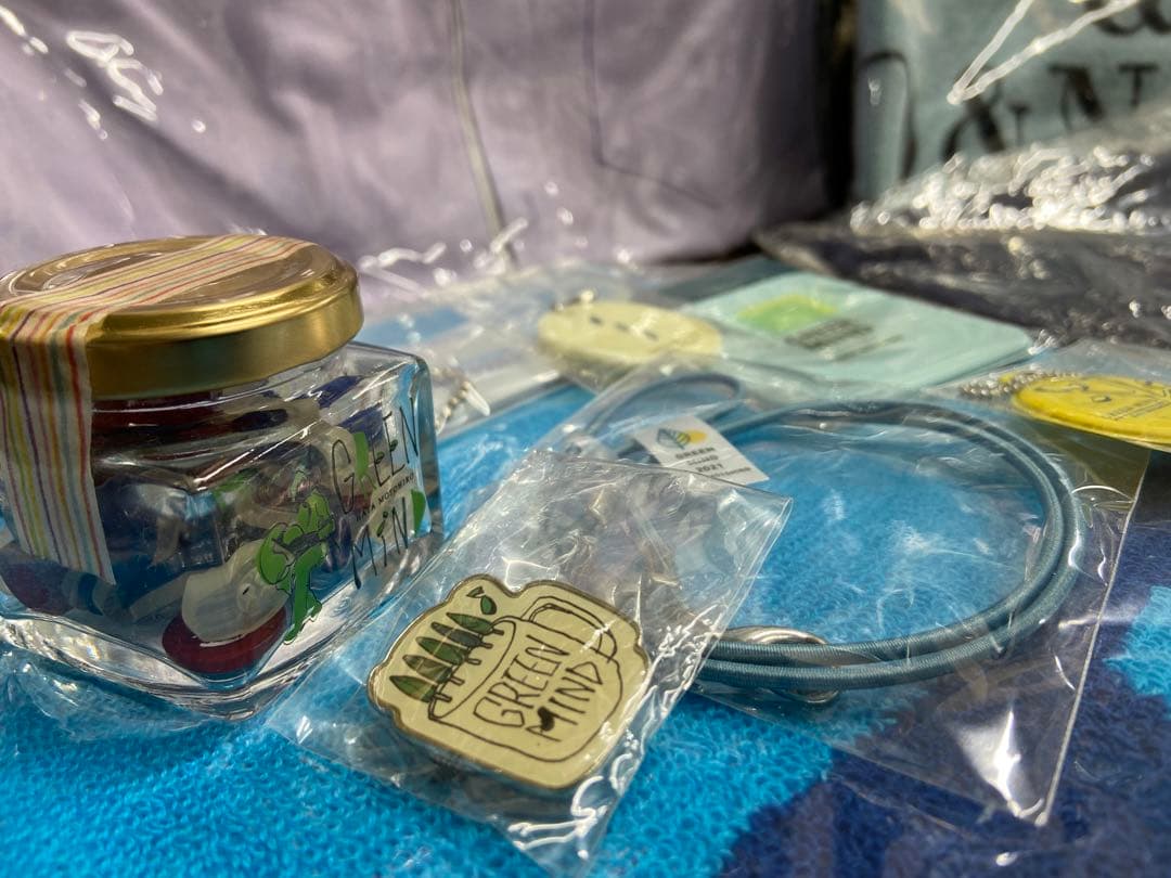 期間限定値引！秦基博/グリーンマインド/青の光景/ツアーグッズ/おまけ付き/希少