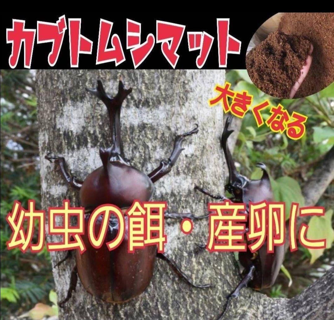 カブトムシ幼虫が大きくなる！発酵マット【たっぷり100リットル】雑虫わかない！