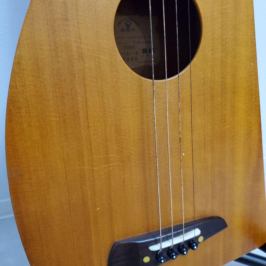 【美品★人気】ヤイリ 一期一会 音来(ニライ)