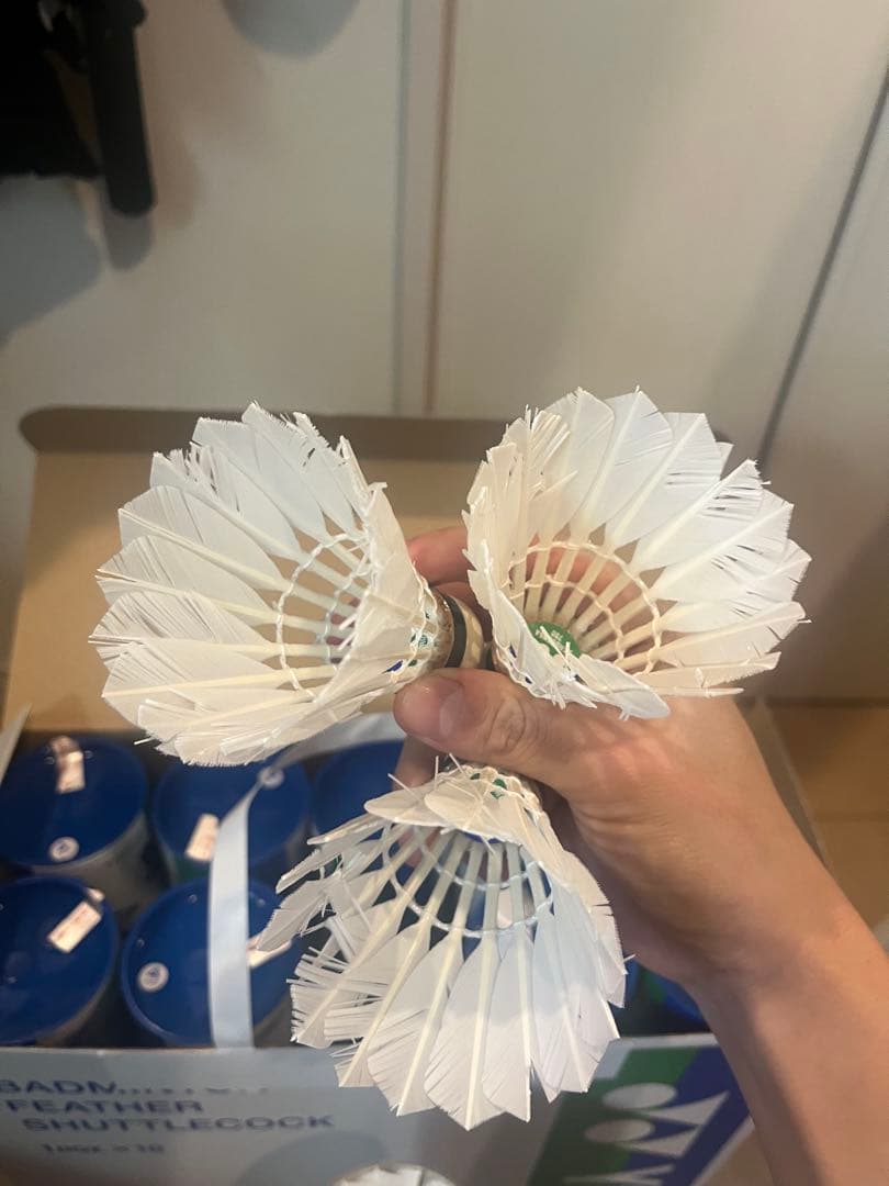 YONEX AS-700 フェザーシャトル 1ダース