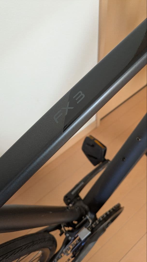 ☆美品 TREC FX3 Disc