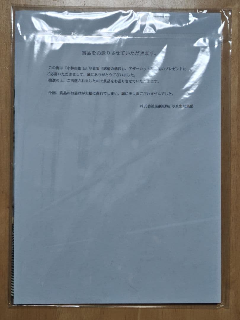 小林由依 1st写真集「感情の構図」本誌+アザーカット集+特典セット