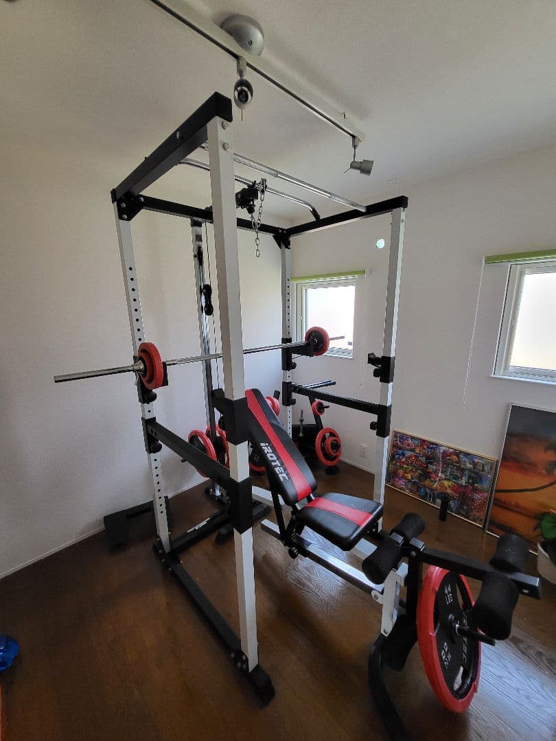 (新潟引取)lROTEC　マスキュラーセット