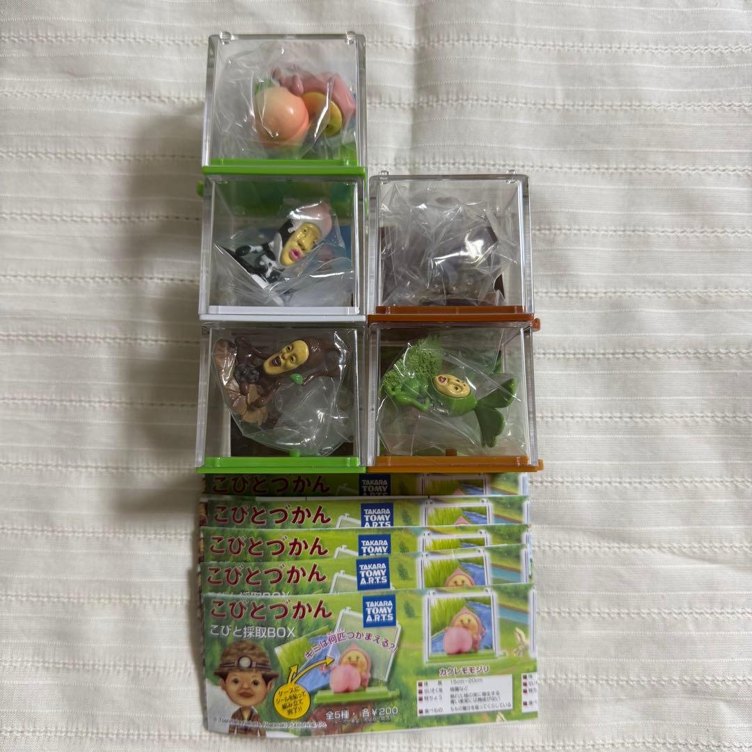 こびとづかん　こびと採取BOXフルコンプ　全5種
