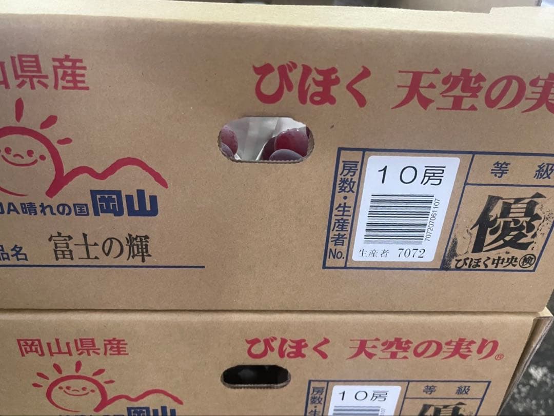 ⑤ 【岡山県産】富士の輝　10房 約5キロ