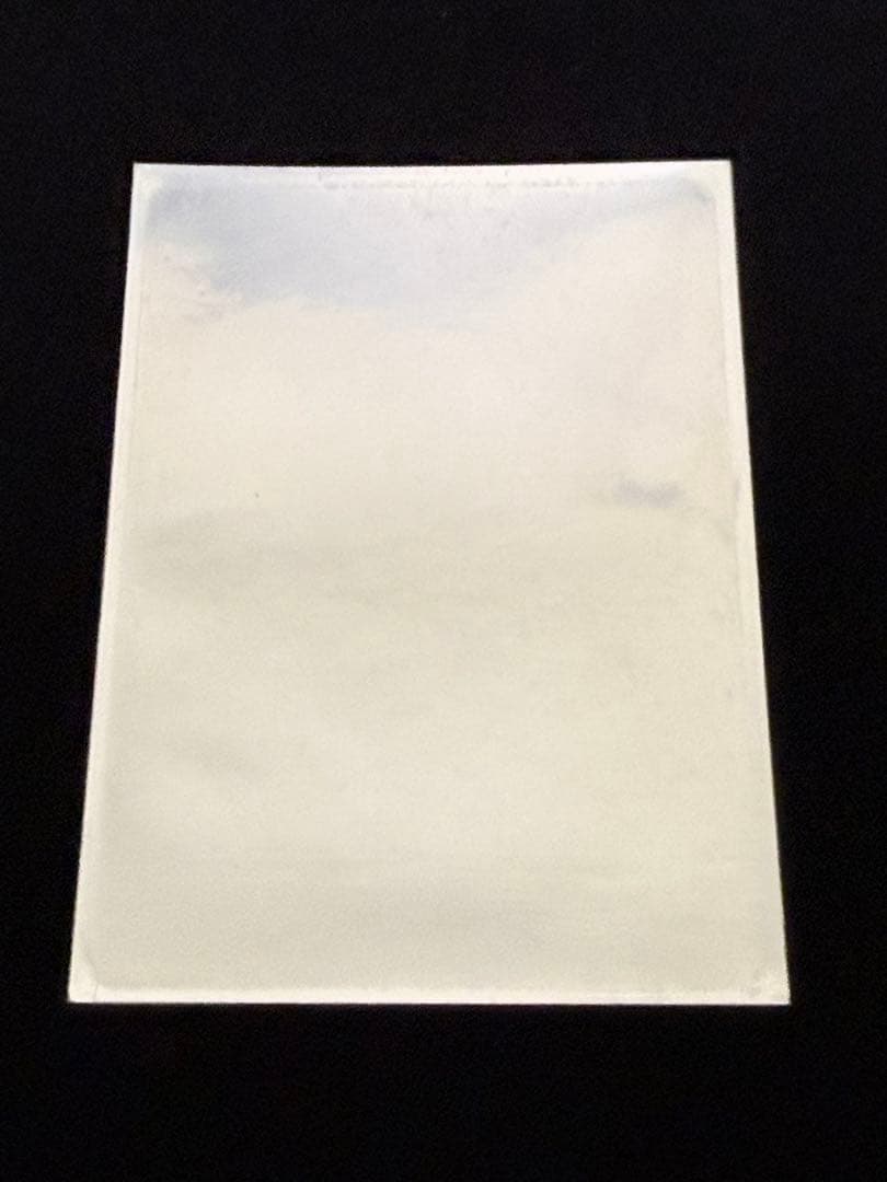 素晴らしき日々〜不連続存在〜　水上由岐 スリーブ 65枚入