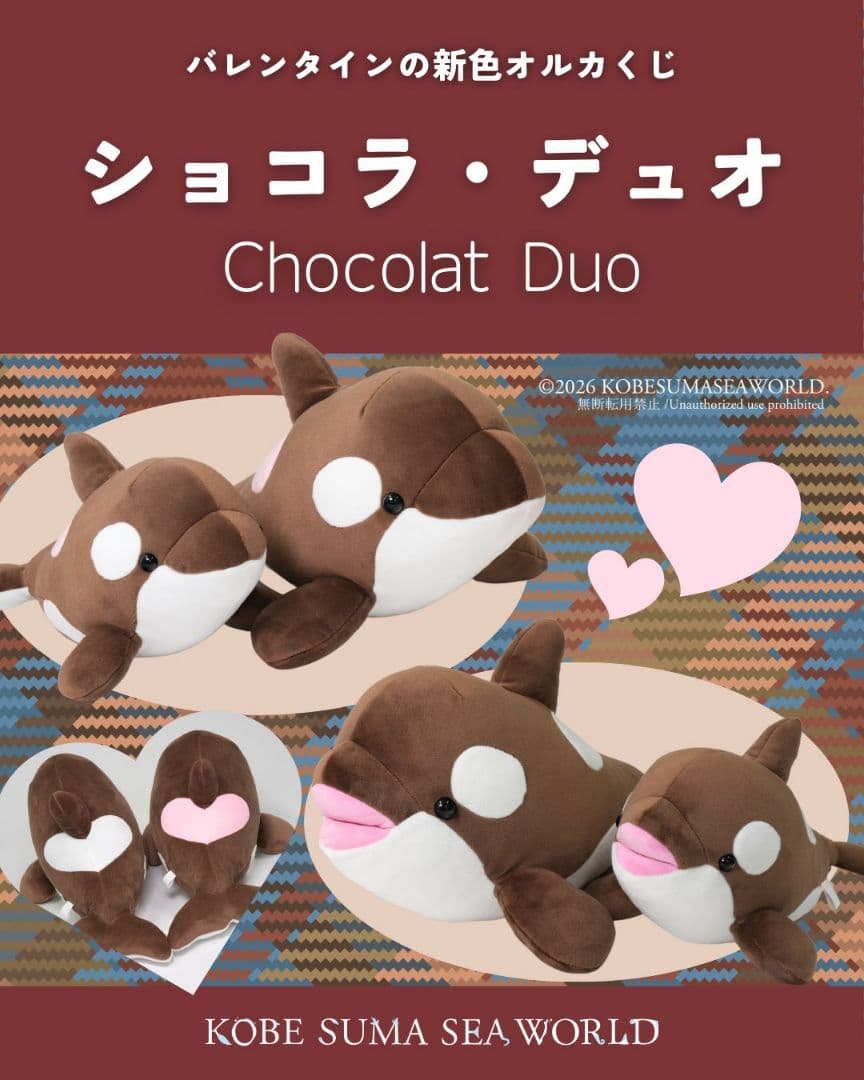【圧縮なし・カレンダー付】須磨シーワールド オルカくじ バレンタイン限定 全種類