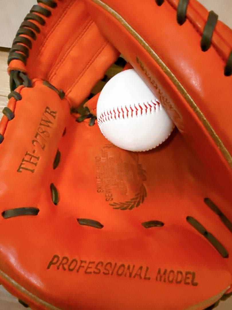 【即使用可能】ハタケヤマ 左投げ 軟式用キャッチーミット