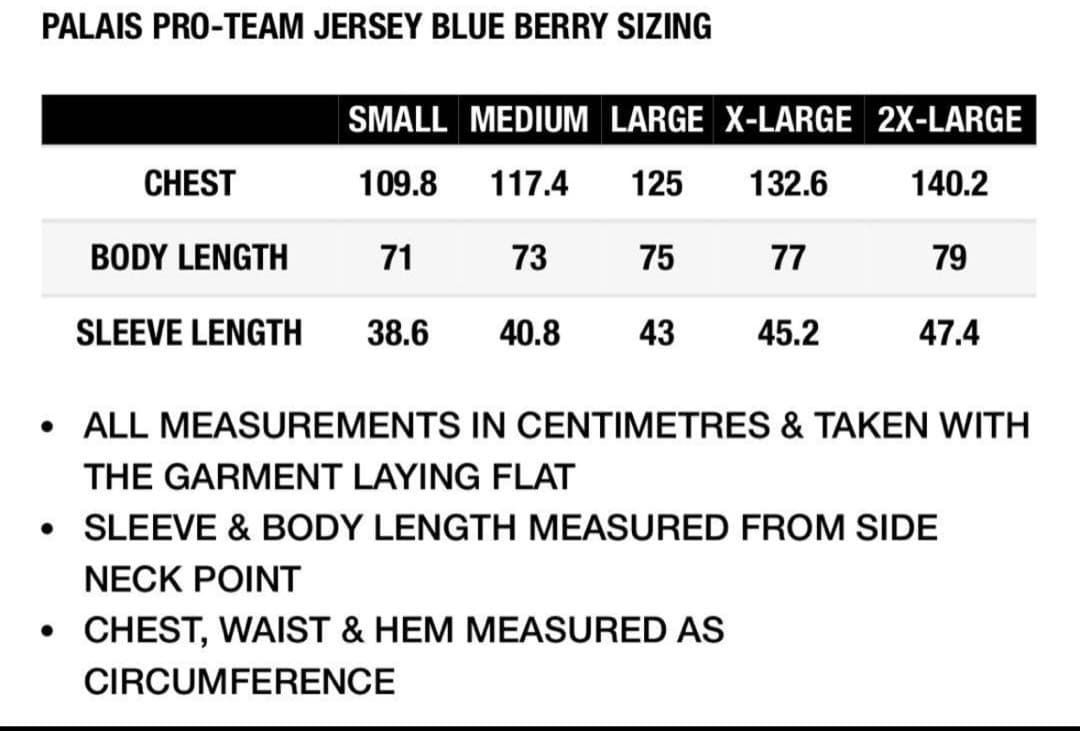 ウェア PALACE Palais Pro-Team Jersey Blue Berry