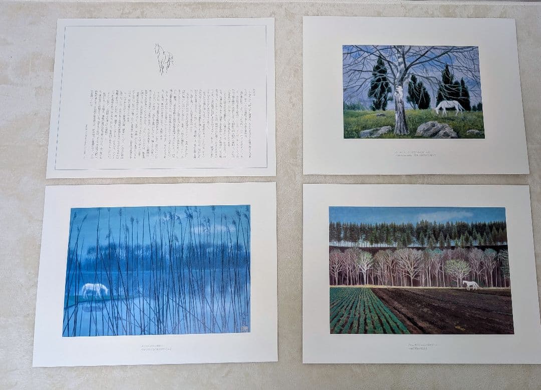 東山魁夷 作品集 『白馬幻想』日本経済新聞社 1990年