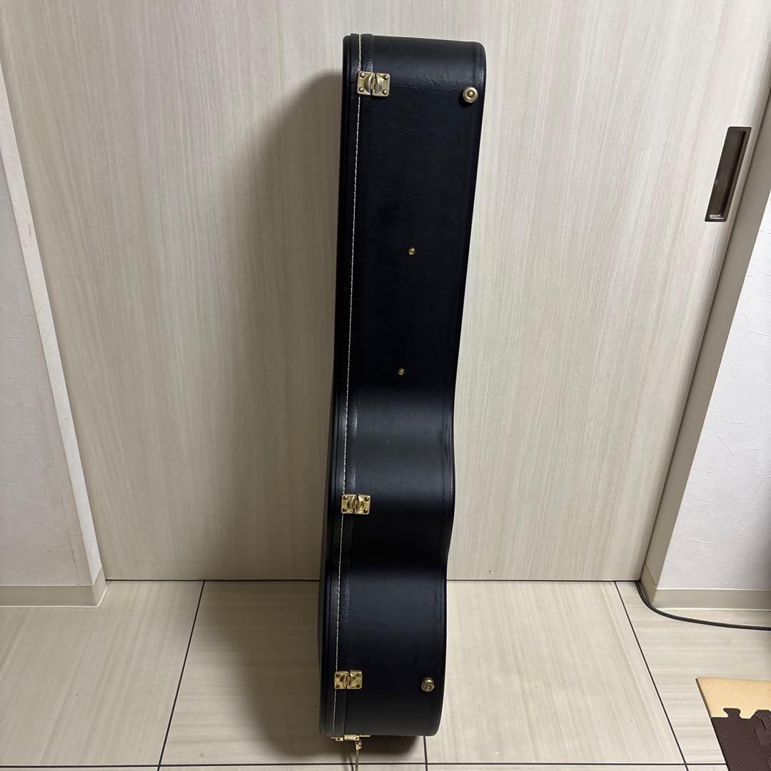 専用　Landscape ar1 ハードケース付き　フルアコ