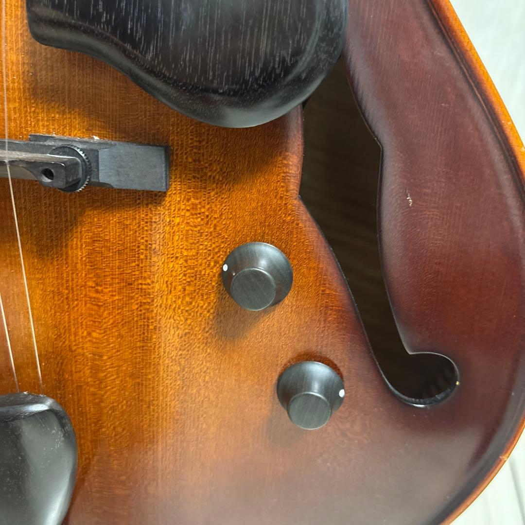 専用　Landscape ar1 ハードケース付き　フルアコ