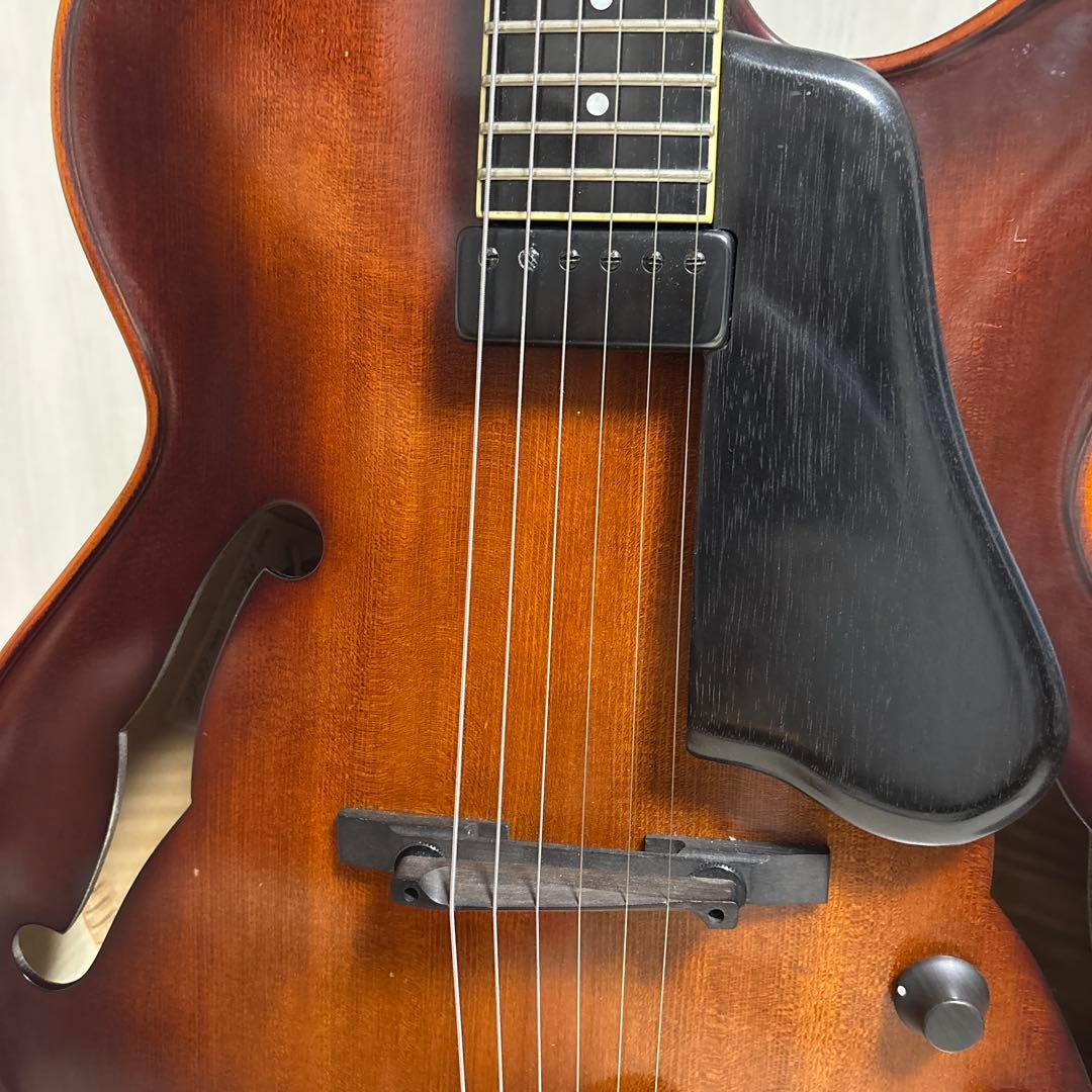 専用　Landscape ar1 ハードケース付き　フルアコ