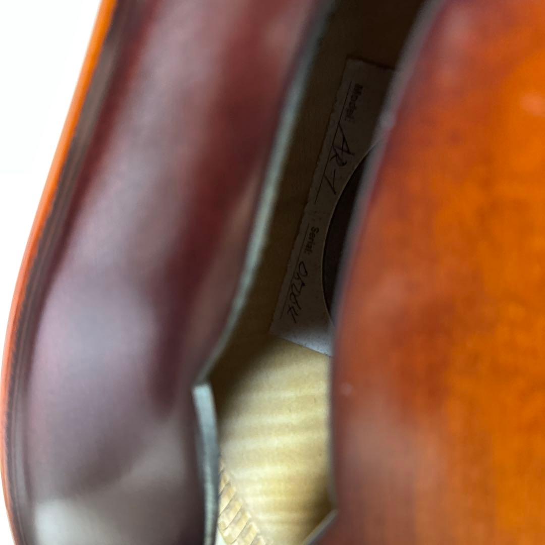 専用　Landscape ar1 ハードケース付き　フルアコ