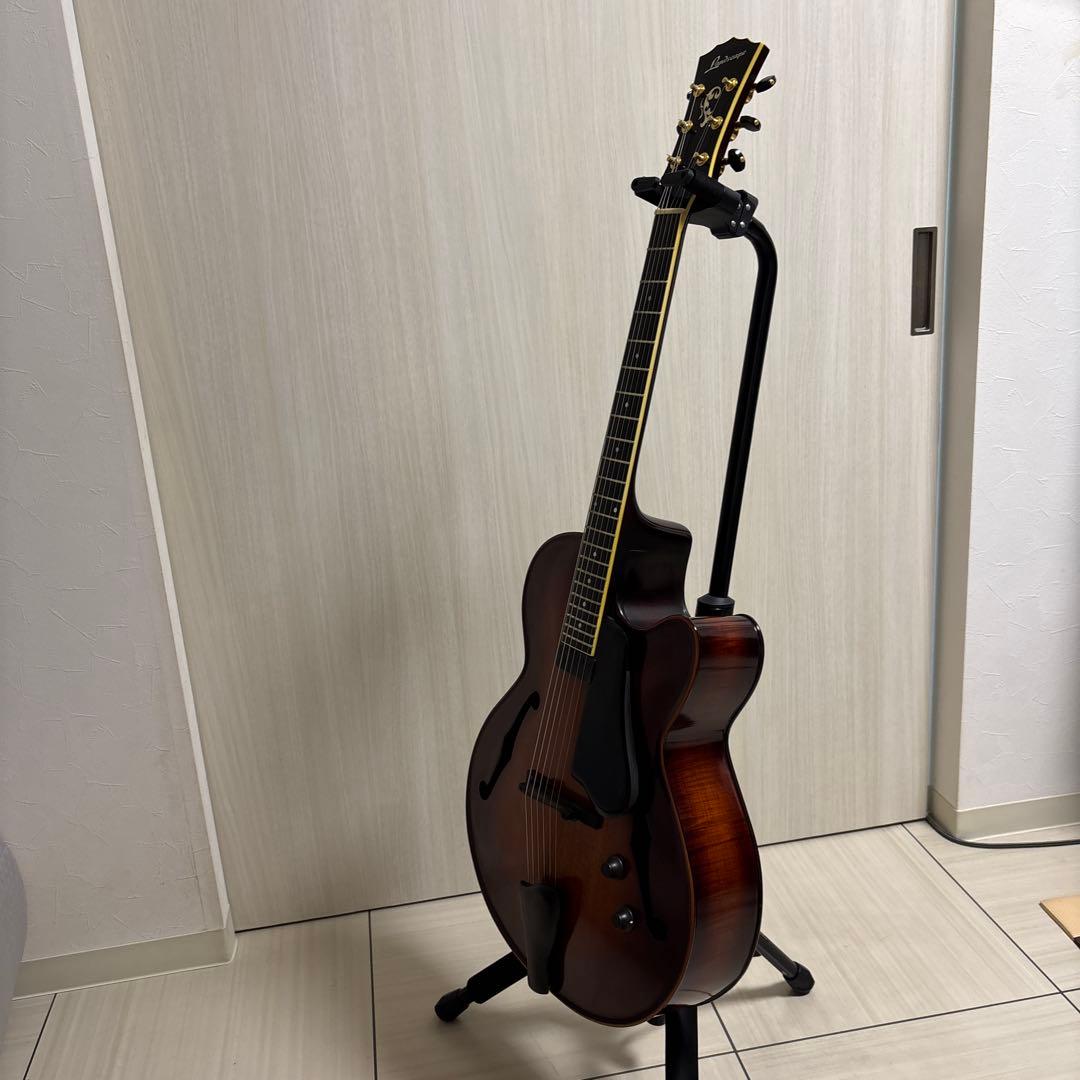 専用　Landscape ar1 ハードケース付き　フルアコ