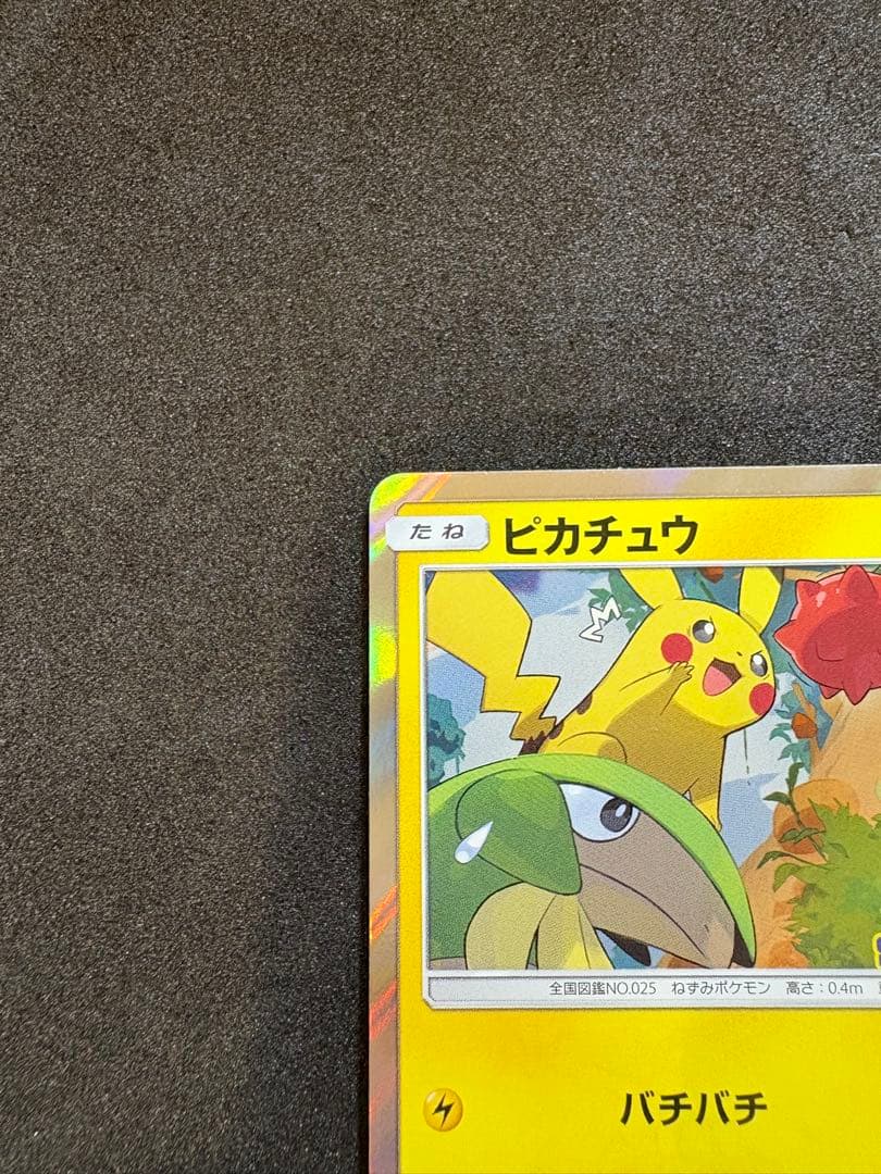 ピカチュウ　フレンドリィショップ