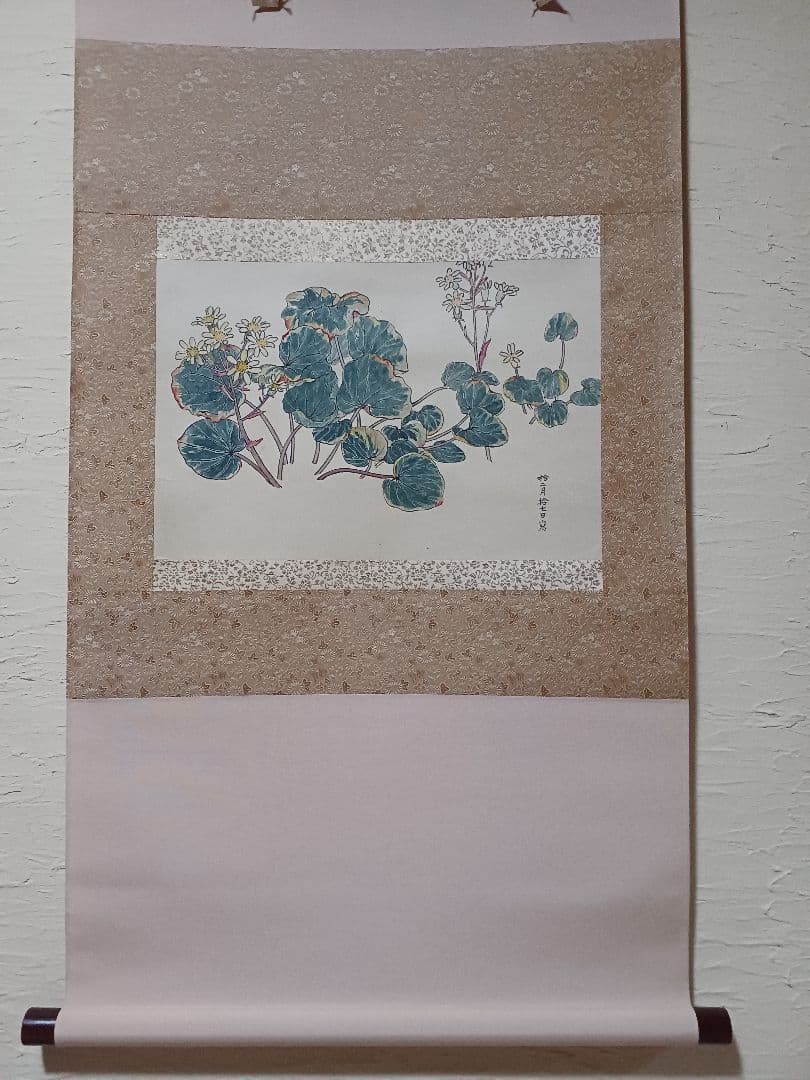 江戸屋の原画　掛け軸　1265x570mm E817 石蕗　つわぶき図　作者不詳