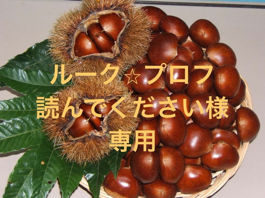 幻の栗⭐︎中山栗2L~4L混合10kgクール便（匿名不可）農家直送2025-013